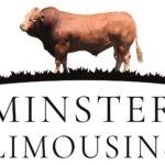 minster-limousins-logo-new-v4