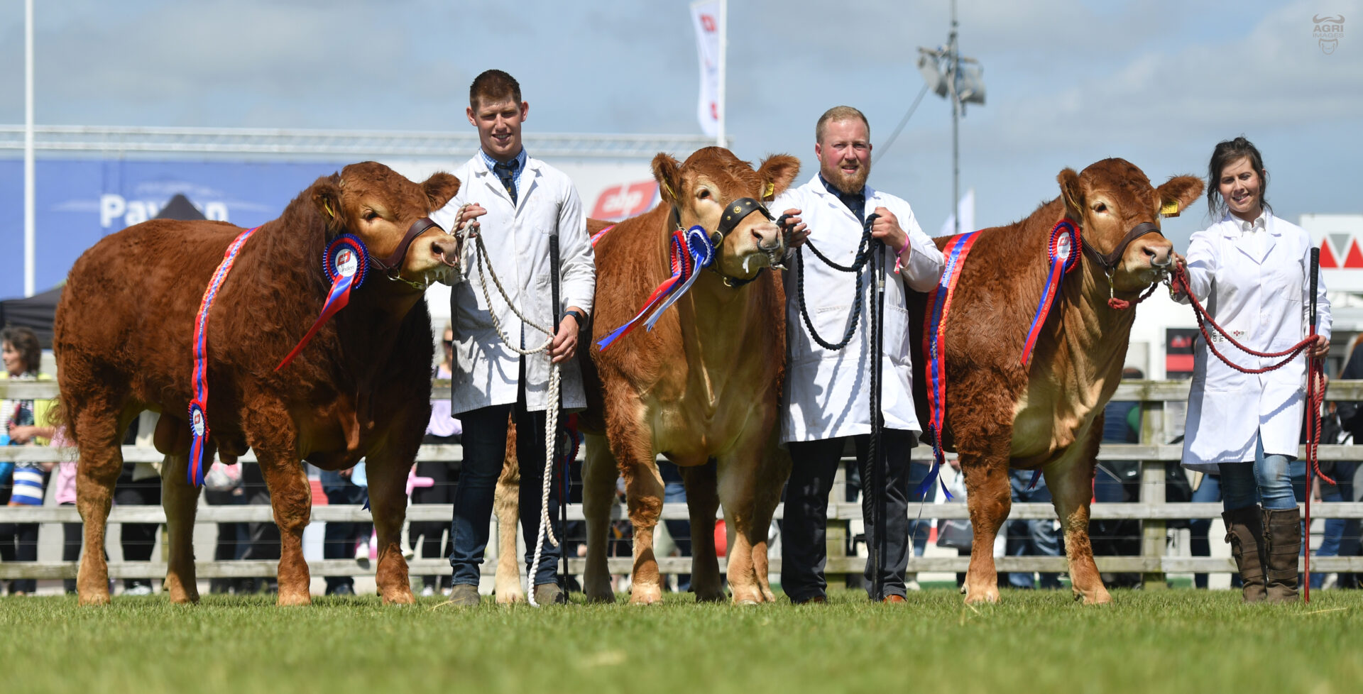 JALEX LIMOUSINS TAKE HOME THE HONOURS FOR THE SECOND YEAR IN A ROW AT