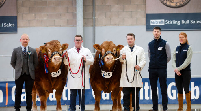 Spittalton Rambler climbs to the top at 9,500gns