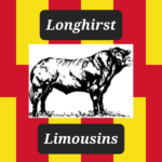 LonghirstLimousins