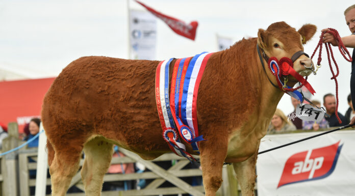 JALEX LIMOUSINS TAKE HOME THE HONOURS FOR THE SECOND YEAR IN A ROW AT BALMORAL SHOW