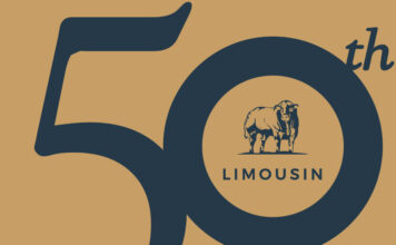 50th Anniversary Show and Sale Ballymena