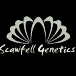 Scawfell.usual-logo