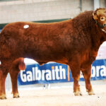 577-Grahams-Stanley-6000gns-7479