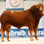 580-Clury-Stifler-7000gns-7400