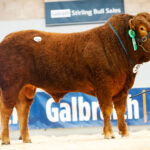 598-Burnbank-Sheriff-6200gns-7382