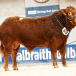 618-Anside-Sheriff-8000gns-7543