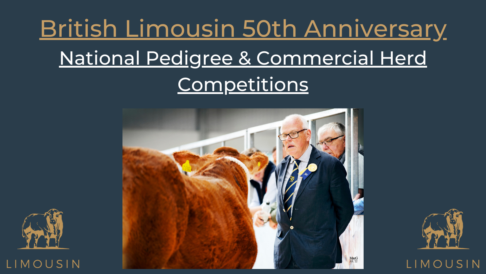 DELIGHT AS SOUTH-WEST REGION BRINGS HOME NATIONAL HERD COMPETITION TROPHIES  | British Limousin Cattle Society