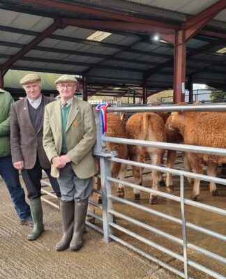 Bishops Castle Suckled Calf and Weanlings Sale November 2022