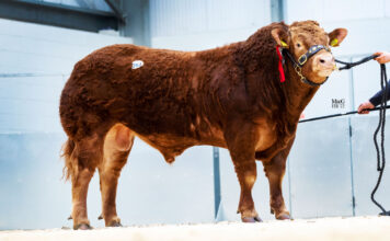 Carlisle Sale Catalogue Feb 2023 Out Now!