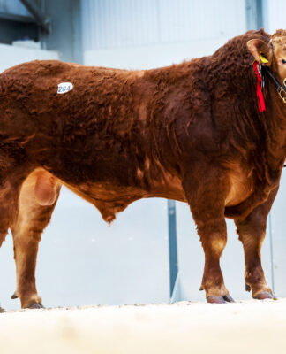 Carlisle Feb 2023 Show – watch now!