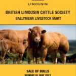 front cover bulls