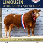 front cover bulls