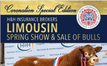 Carlise Bull Catalogue is now available