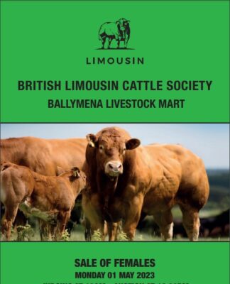 Ballymena Female Catalogue is now available