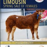 front cover females