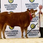 5500gns Rahoney Serena from Messrs H&D McFarland