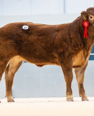 FoxhillFarm-Unique-25000gns