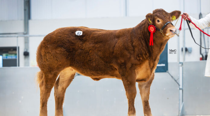 FoxhillFarm-Unique-25000gns