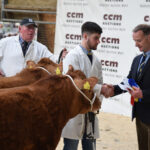 Garrowby Farms stand supreme again at CCM NLE