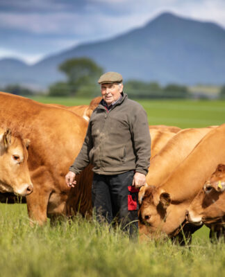 Spittalton and Ronick Sale Sparks Excitement