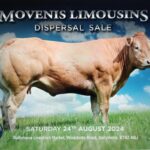 Movenis Limousin dispersal includes females and embryos