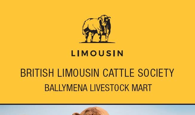 Ballymena October Sale catalogue