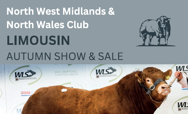 Welshpool November catalogue