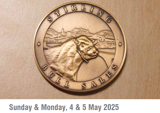 Stirling Bull Sale Catalogue May 2025