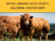 Ballymena Oct 2025 Bull Sale Catalogue