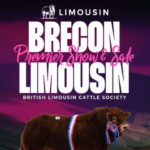 Brecon November 25 Catalogue