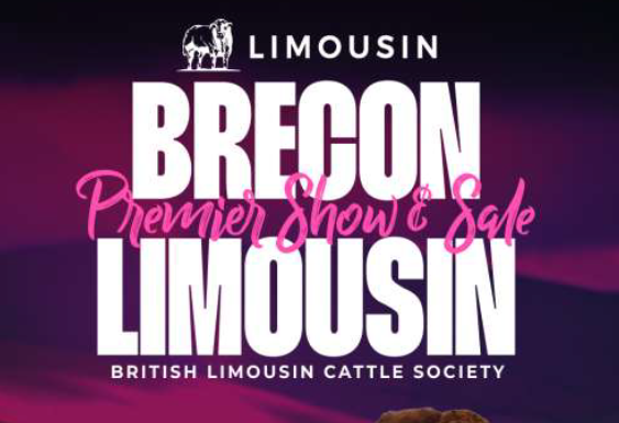 Brecon November 25 Catalogue