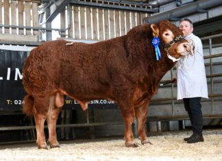 Commercial trade at Brecon tops at 7,000gns