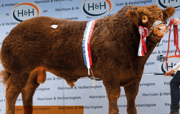 Carlisle February 2026 Sale Catalogue