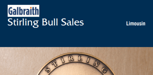 Stirling February 2026 Sale Catalogue