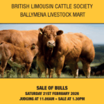 Ballymena February 2026 Sale Catalogue