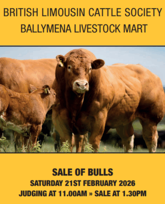 Ballymena February 2026 Sale Catalogue