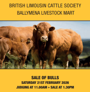 Ballymena February 2026 Sale Catalogue