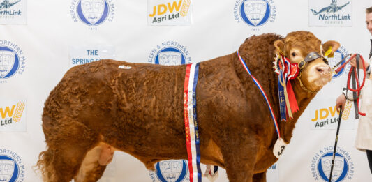 Thainstone Sale Catalogue February 2026