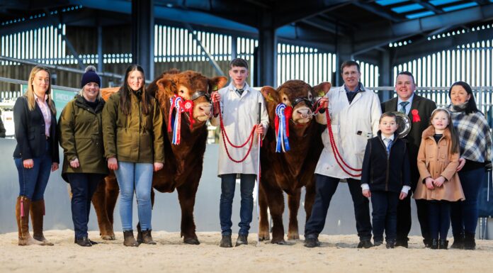 Limousin Carlisle February Sale Sets a New UK All-Breeds Record Average!