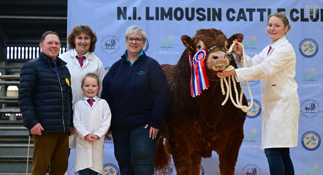 Ballyrobin Volvo secures championship and 15,000gns