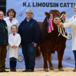 Ballyrobin Volvo secures championship and 15,000gns