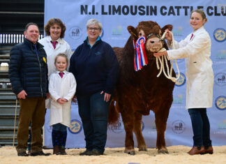 Ballyrobin Volvo secures championship and 15,000gns