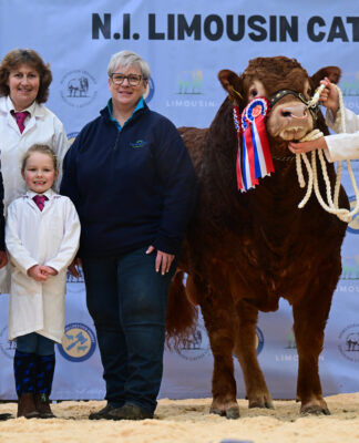 Ballyrobin Volvo secures championship and 15,000gns