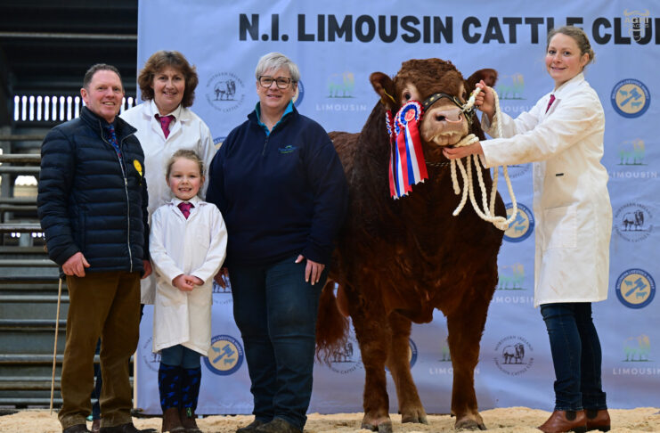 Ballyrobin Volvo secures championship and 15,000gns