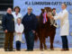 Ballyrobin Volvo secures championship and 15,000gns
