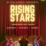 Rising Stars Limousin Calf Show