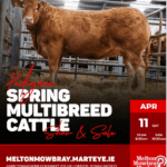 East Midlands Club Sale Catalogue April 2026