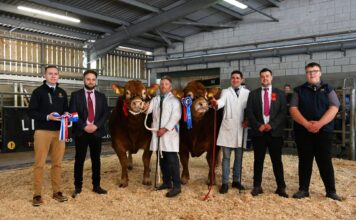ASHLEDGE VANCY LEADS BRECON MAY SALE AT 14,000GNS