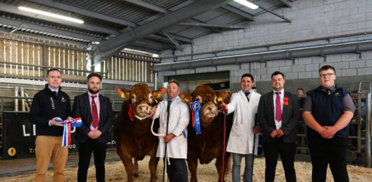 ASHLEDGE VANCY LEADS BRECON MAY SALE AT 14,000GNS